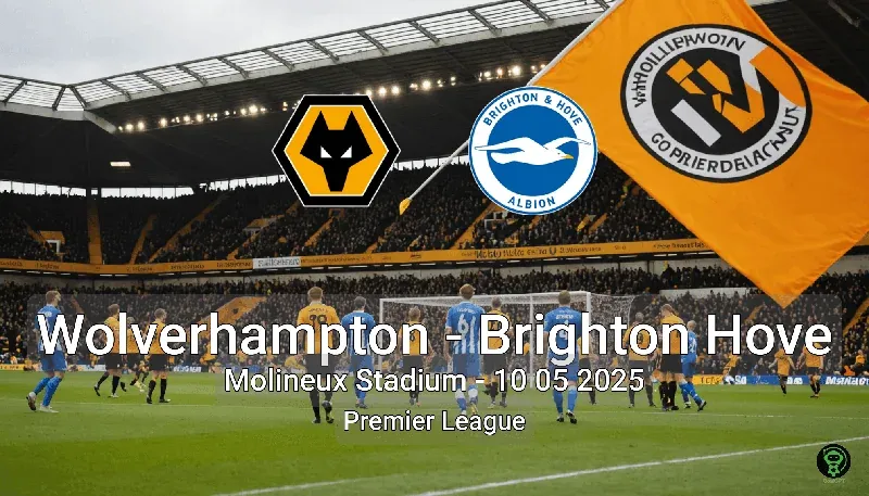 Wolverhampton vs Brighton Hove Molineux Stadium – 10 05 2025 Premier League