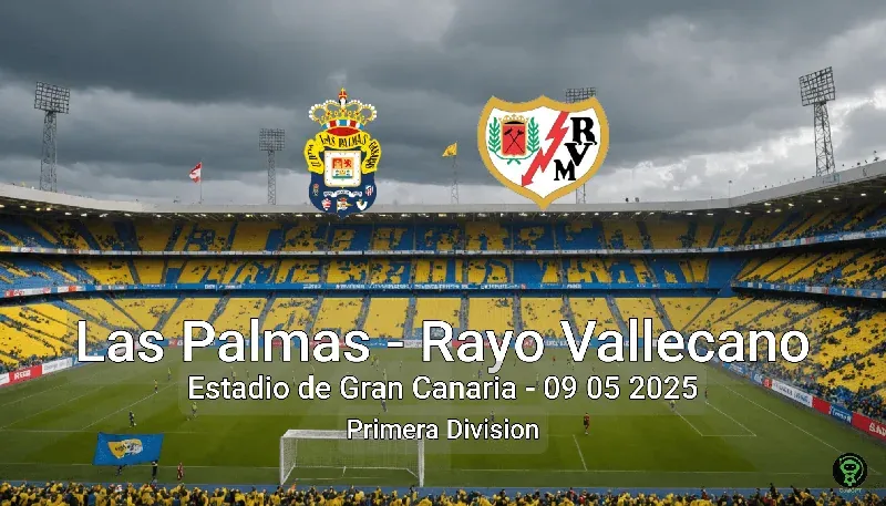 Las Palmas vs Rayo Vallecano Estadio de Gran Canaria – 09 05 2025 Primera Division